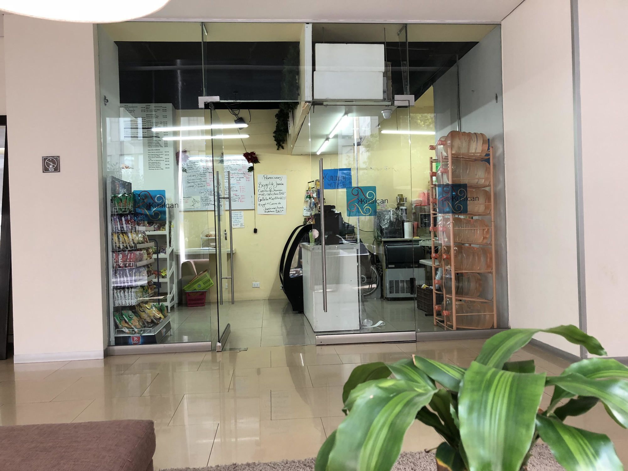 Boutique Apartment Pbk مدينة مكسيكو المظهر الخارجي الصورة